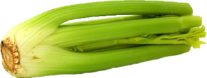 celery-smell-attractive